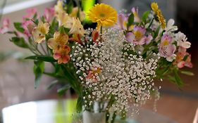 Fiorentini Residence NAPOLI